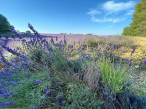 Agréable maison de village à Valensole